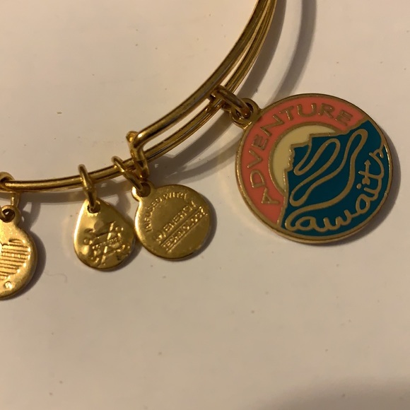 Alex and Ani Adventure awaits bracelets - Picture 5 of 7